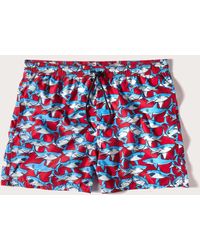 Yamamay - Costume boxer da uomo con squali Coral Reef - Lyst
