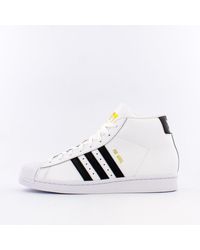 adidas pro model size 15