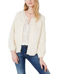 cardigan brand