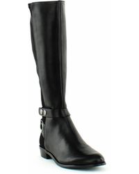 tahari booties