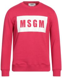 MSGM - Felpa - Lyst