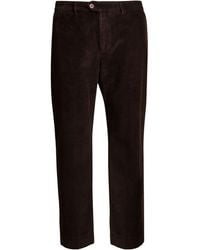 Tela Genova - Pants Cotton - Lyst