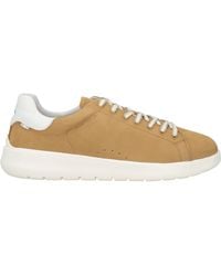 Ambitious - Camel Sneakers Leather - Lyst