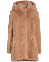 sandro teddy coat