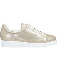 Carlo Pazolini - Platinum Sneakers Soft Leather - Lyst