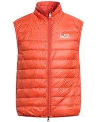 EA7 - Gilet - Lyst