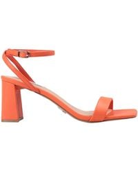 Steve Madden - Sandals - Lyst