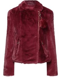 Guess Teddy Coat - Multicolour