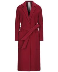 Annie P Abrigo - Rojo