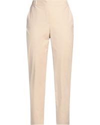 Antonelli - Pants Cotton, Elastane - Lyst