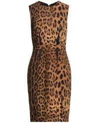 Roberto Cavalli - Khaki Mini Dress Cotton, Wool - Lyst