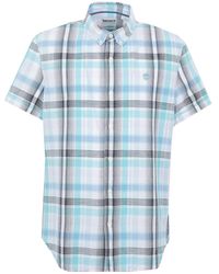 shirt timberland