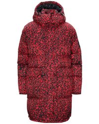 Calvin Klein Piumino sintetico - Rosso