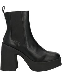 Steve Madden - Ankle Boots - Lyst