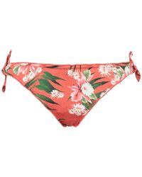 Banana Moon Bañador de slip - Multicolor