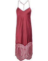 Calvin Klein Unterkleid - Rot