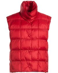 Paltò - Gilet - Lyst