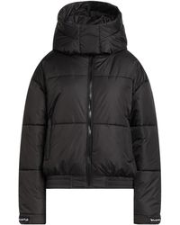 DISCLAIMER - Pufferjacke & Daunenjacke - Lyst