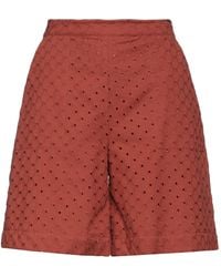 Niu - Shorts E Bermuda - Lyst
