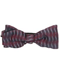 Nœuds papillon et cravates Flannelle Fiorio pour homme en coloris Violet Homme Accessoires Cravates 