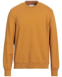 Circolo 1901 - Marigold Sweatshirt Cotton - Lyst