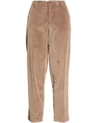 Myths - Taupe Pants Cotton, Modal, Elastane - Lyst