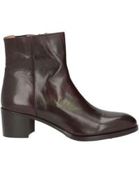 Calpierre - Stiefelette - Lyst