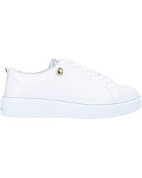 cavalli class scarpe