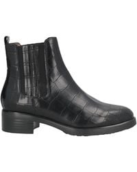 Wonders - Ankle Boots - Lyst