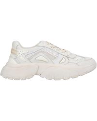 Maje Low-tops & Trainers - White