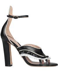 paula cademartori trainers