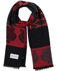 kenzo scarf