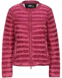 Ciesse Piumini Plumas - Multicolor