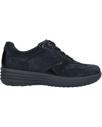 stonefly trainers