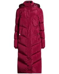 Guess - Puffer - Lyst
