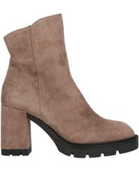 Albano - Taupe Ankle Boots Leather - Lyst
