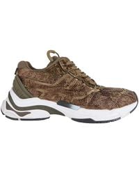 Ash - Sneakers - Lyst
