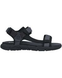 timberland flip flops mens