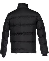 timberland goose down jacket