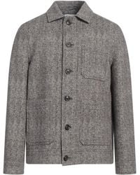 Circolo 1901 - Jacket Cotton, Elastane - Lyst