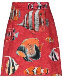 Dolce & Gabbana Falda De Brocado Estampado - Rojo