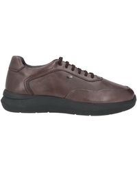 Stonefly - Sneakers Leather - Lyst