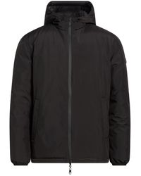 Siviglia - Puffer - Lyst