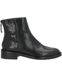 Zinda - Ankle Boots - Lyst