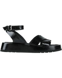 Elvio Zanon Toe Strap Sandals - Black