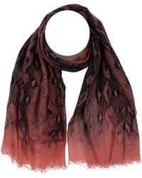 Roberto Cavalli Scarves and mufflers for Women | Online Sale up to 70% off  | Lyst