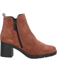 The Flexx - Ankle Boots - Lyst
