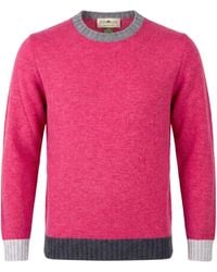 Irish Crone - Fuchsia Sweater Wool - Lyst