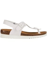 Scholl - Thong Sandal - Lyst