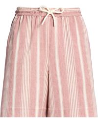 Circolo 1901 - Shorts & Bermuda Shorts - Lyst